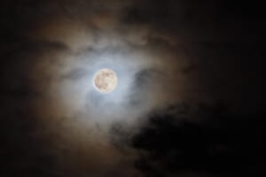Magic Moon – Yoga und Meditation mit dem Mond