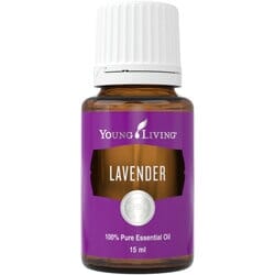 Lavendel (Lavender)