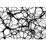 Der Stern-Taler-Shop: It’s magic Hirnnebel: Übung gegen Long- und Post-Covid Hirnnebel »Brain Fog«