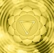 Solarplexus Solarplexus